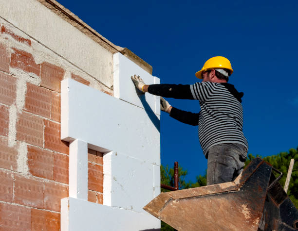 Best Insulation Installation Services in Jenison, MI