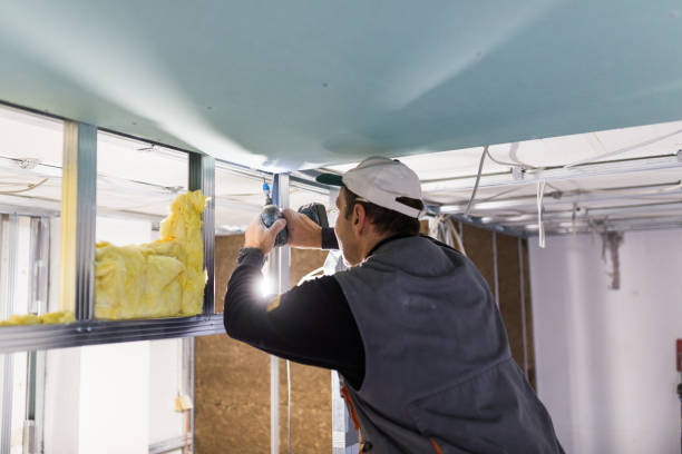 Best Commercial Insulation in Jenison, MI