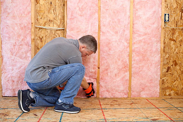 Best Types of Insulation in Jenison, MI