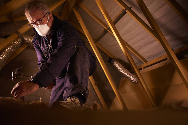 Best Insulation Materials and Products in Jenison, MI
